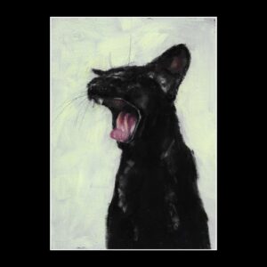 Midnight Roar Print